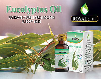 eucalyptus-oil-new